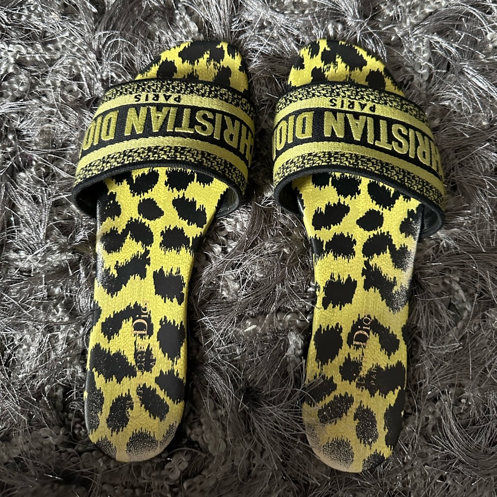 Dior Dway Slide In Chartreuse Lime Pop Mizza Embr… - image 2